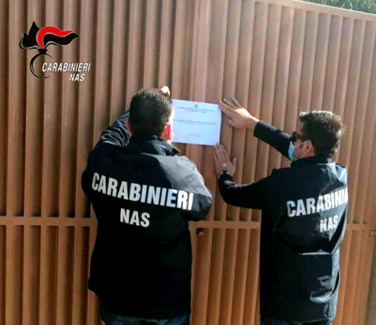 Reggio Calabria: controlli anti- Covid dei Carabinieri del Nas, sospensione immediata per quattro comunità alloggio per anziani