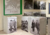 Il Museo Rohlfs e la visione di Gianfranco Marino: memoria, identità e futuro
